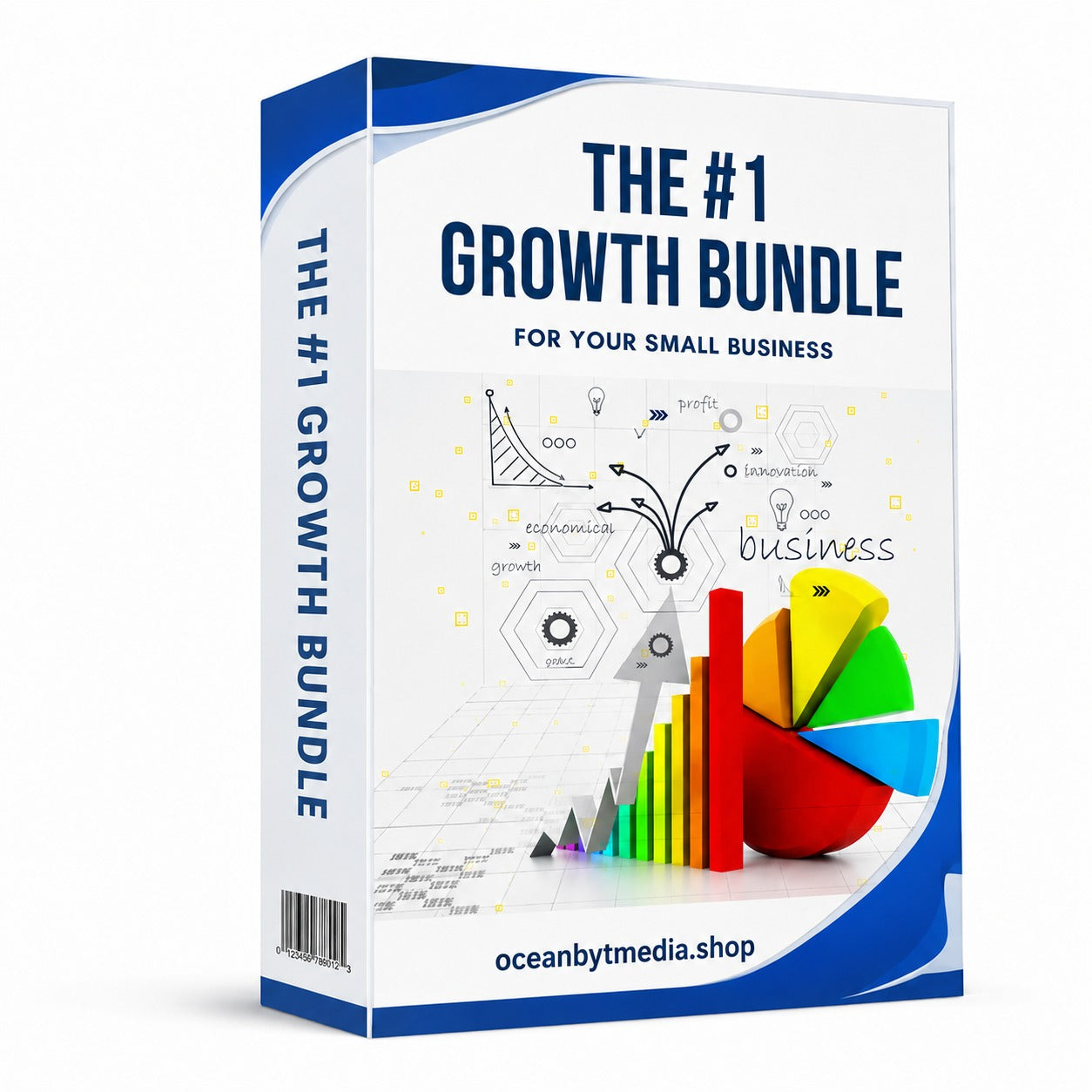 Business Success Master Guide